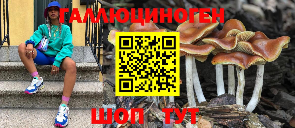 Клинцы  Галлюциногенные грибы Cubensis  Псилоцибиновые грибы GOLDEN TEACHER  Вход с VPN 